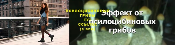 мяу мяу мука Карпинск