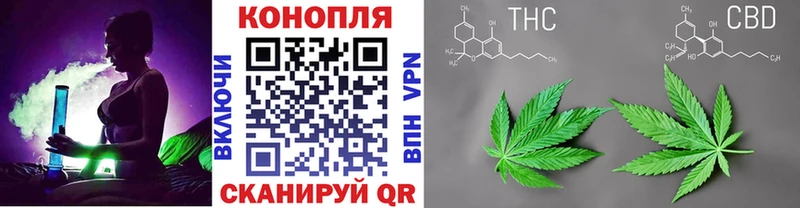 Шишки марихуана план  Купить  Отрадное 